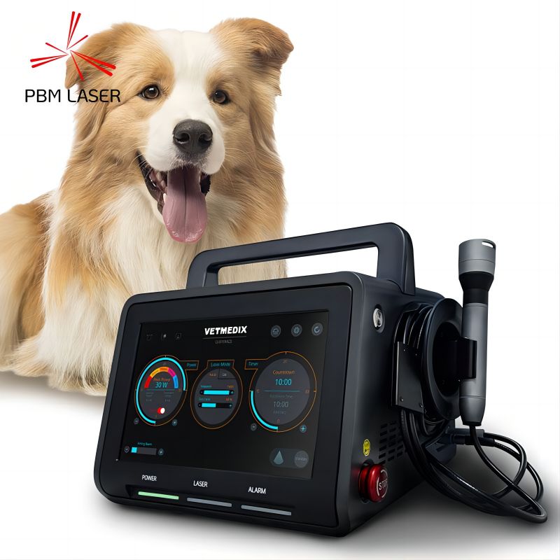 What Conditions Can Veterinary Lasers Be Used to treat?
