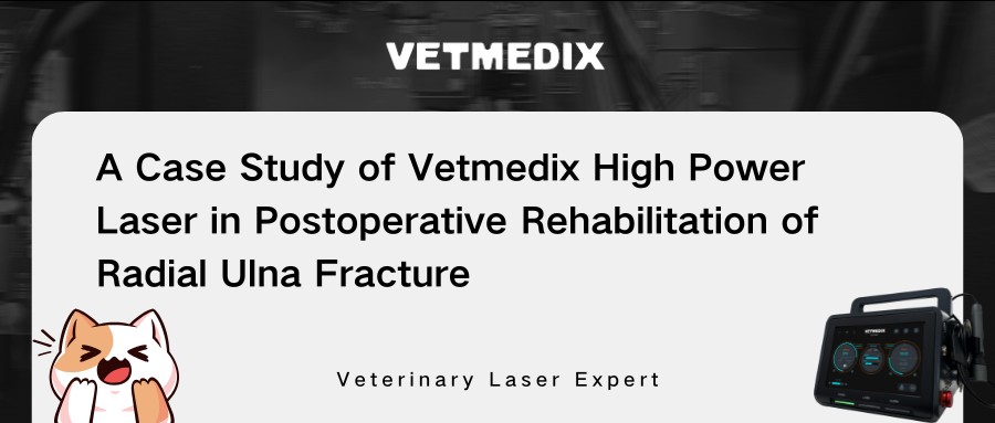 Vetmedia causa sharing 丨 summus potentia laser Lorem in postoperative RESTITUTIO radialis Ulna Fractura