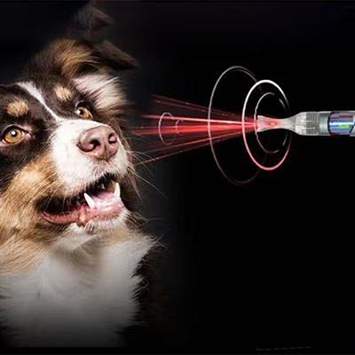 Quare utere Classis IV Laser in Medicina veterinaria?