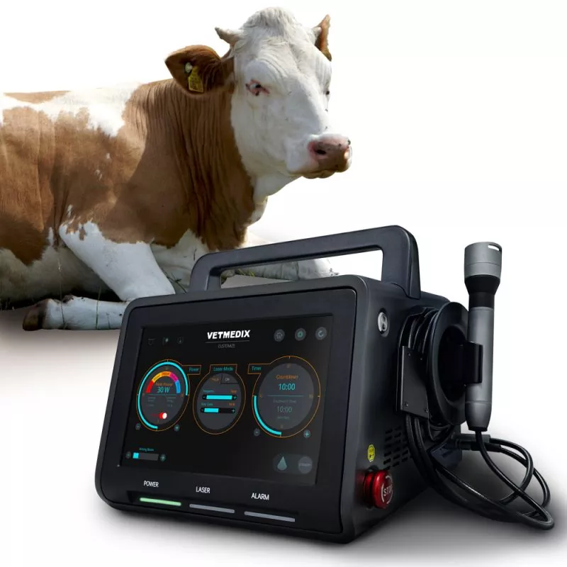 The Volume Application of Veterinary Laser Therapy: A Comprehensive Guide